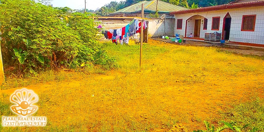 Maison (Concession) à vendre - Yaoundé, Abome, Tradex - 2 salon(s), 4 chambre(s), 4 salle(s) de bains - 40 000 000 FCFA