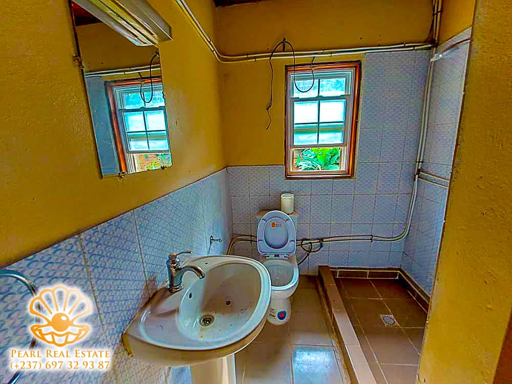Maison (Villa) à louer - Yaoundé, Bastos, Carrefour Bastos - 1 salon(s), 4 chambre(s), 3 salle(s) de bains - 2 500 000 FCFA / mois