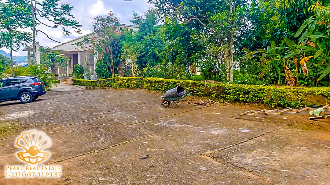 Maison (Villa) à louer - Yaoundé, Bastos, Ambassade de Chine - 1 salon(s), 4 chambre(s), 3 salle(s) de bains - 2 500 000 FCFA / mois