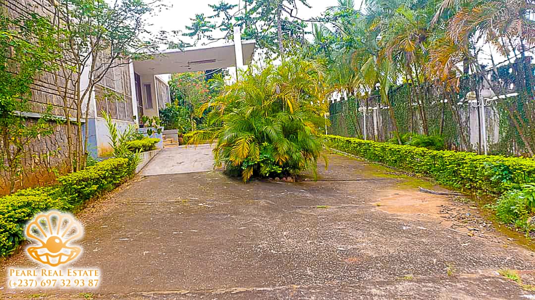 Maison (Villa) à louer - Yaoundé, Bastos, Ambassade de Chine - 1 salon(s), 4 chambre(s), 3 salle(s) de bains - 2 500 000 FCFA / mois