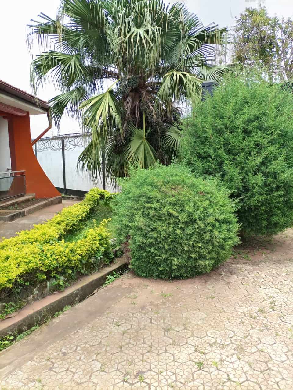 House (Duplex) for sale - Yaoundé, Bastos, Palais de congrès - 2 living room(s), 6 bedroom(s), 7 bathroom(s) - 500 000 000 FCFA / month