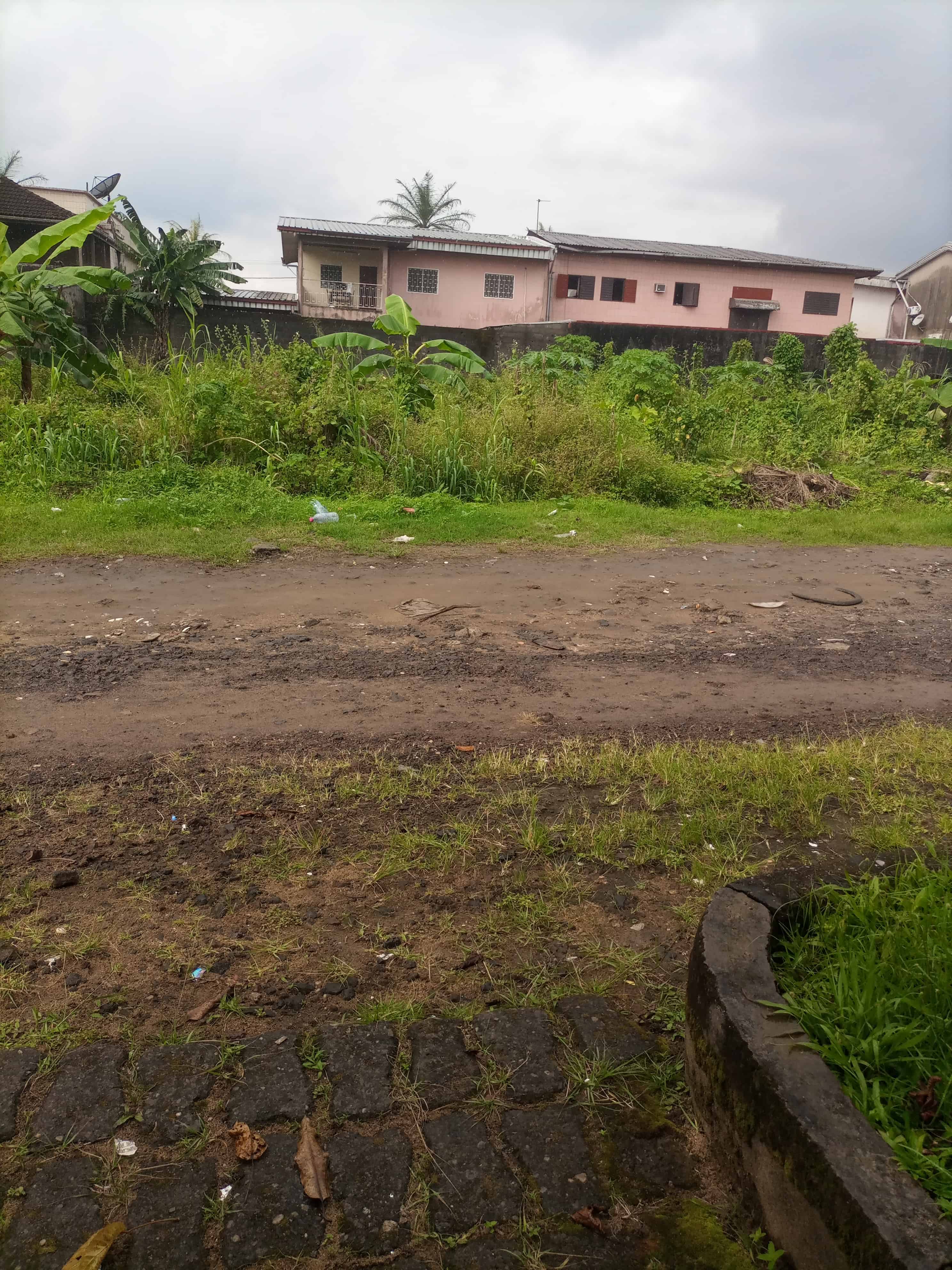 Land for sale at Douala, Kotto 1001 m2 160 160 000 FCFA
