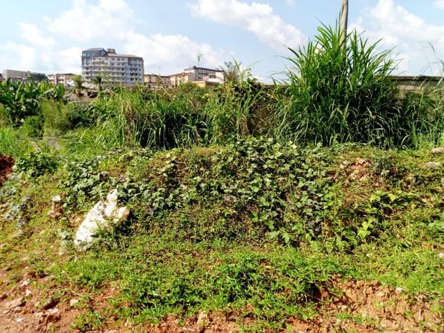 Terrain à vendre - Yaoundé, Bastos, Bastos centre - 500 m2 - 200 000 000 FCFA