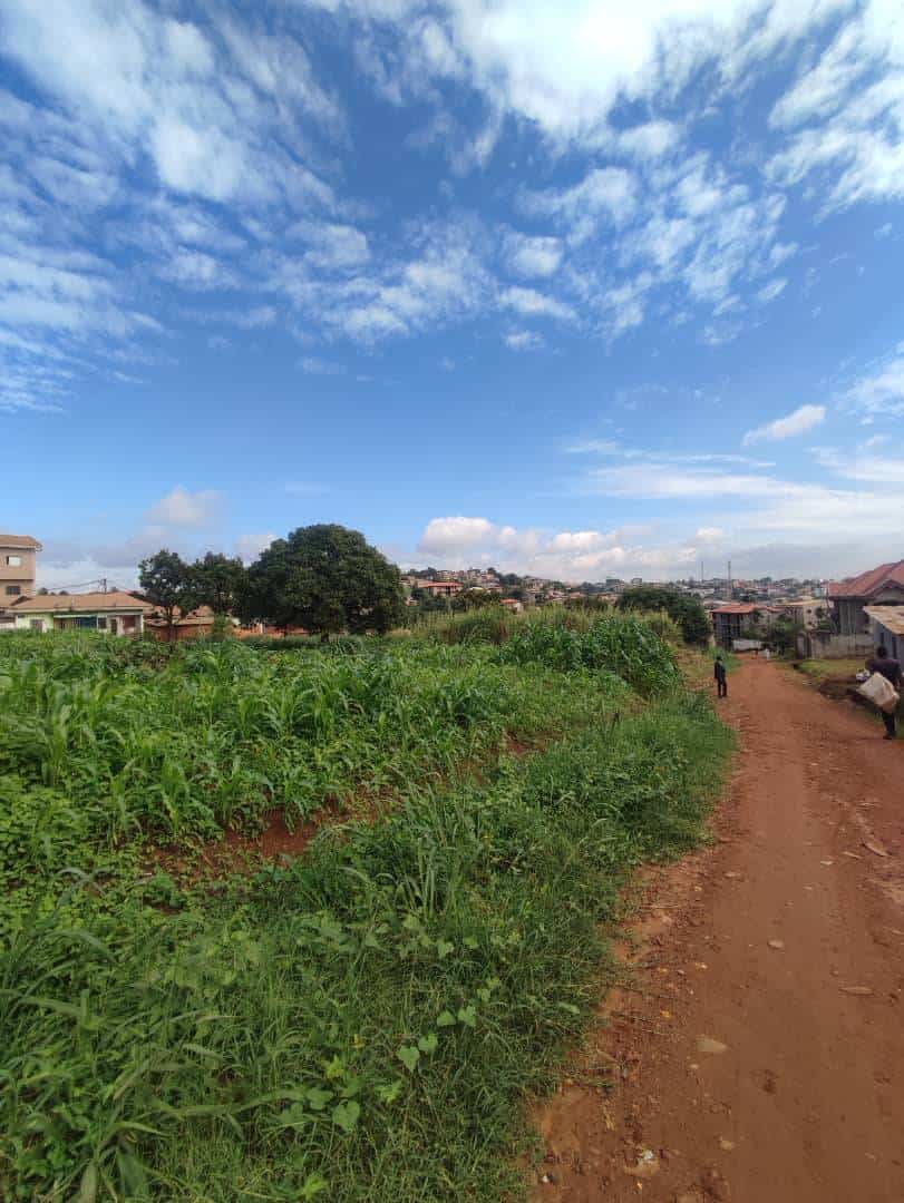 Land for sale at Yaoundé, Odza, happy - 1029 m2 - 60 000 000 FCFA