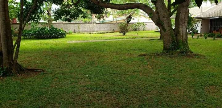 House (Villa) to rent - Yaoundé, Mfandena, omnisport - 2 living room(s), 4 bedroom(s), 3 bathroom(s) - 800 000 FCFA / month