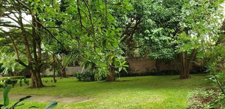 House (Villa) to rent - Yaoundé, Mfandena, omnisport - 2 living room(s), 4 bedroom(s), 3 bathroom(s) - 800 000 FCFA / month