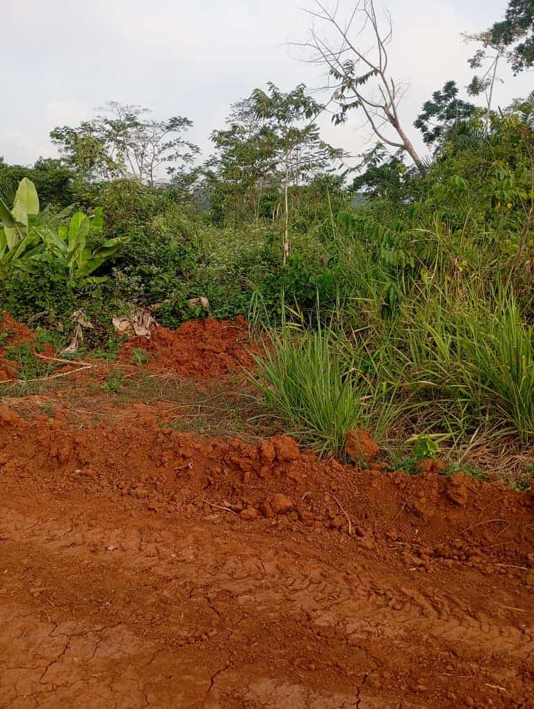 Land for sale at Yaoundé, Nkolfoulou, Tsinga village - 1000 m2 - 25 000 000 FCFA