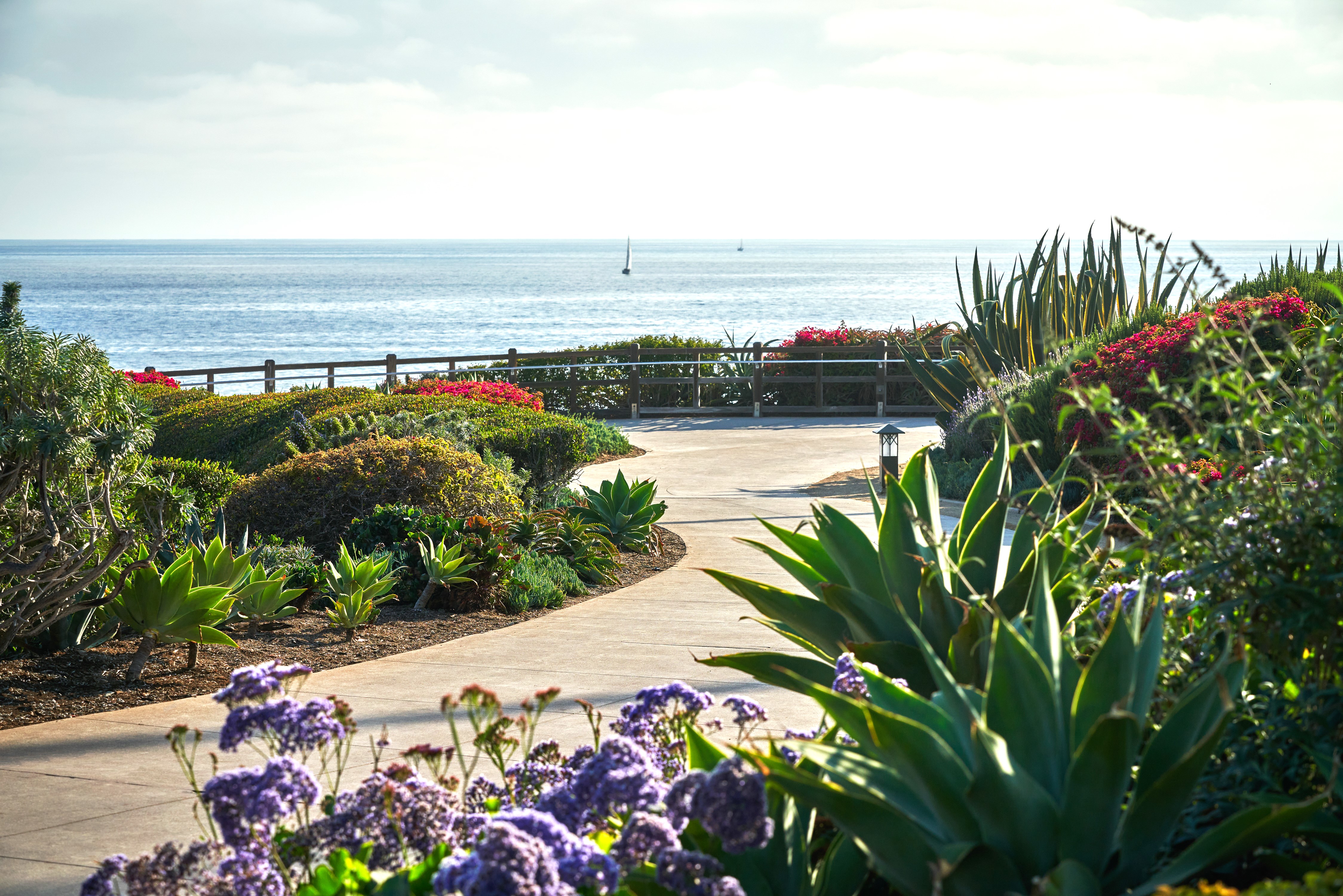 Laguna Electric Bike Tour