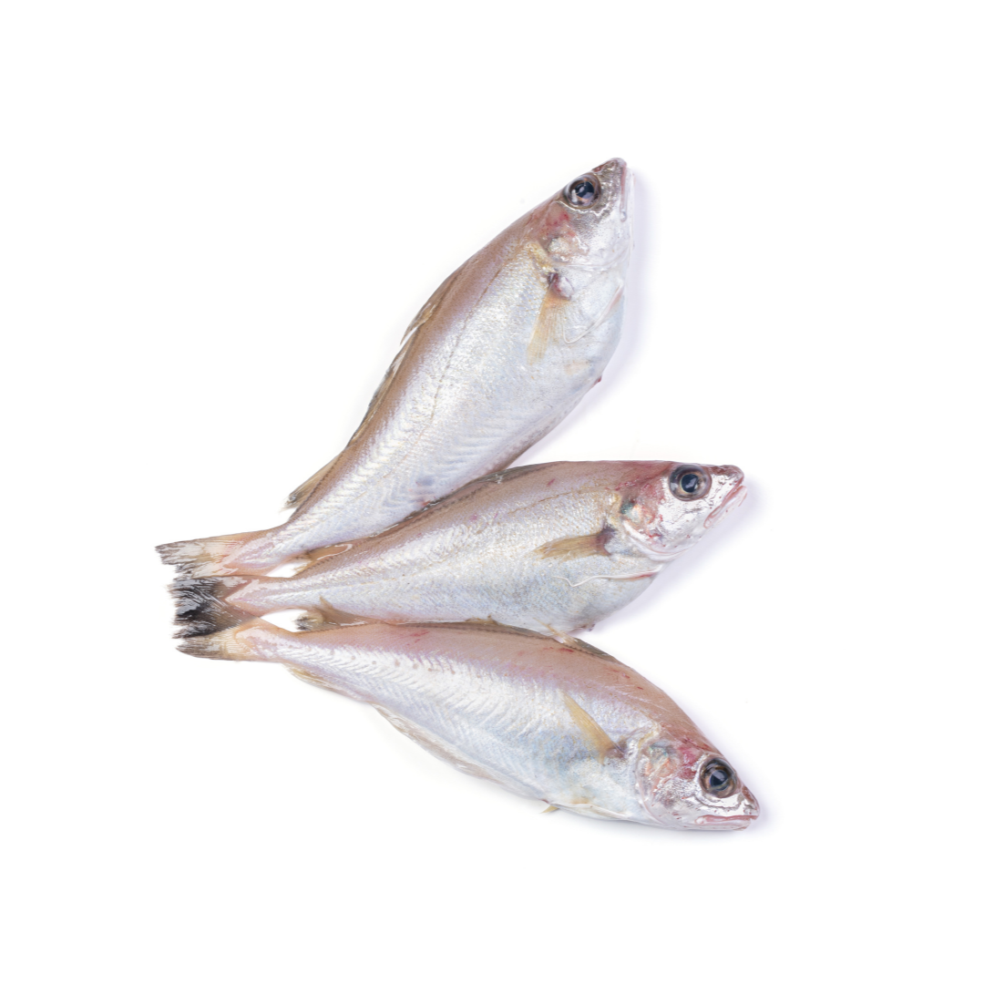 benefits of whiting fish