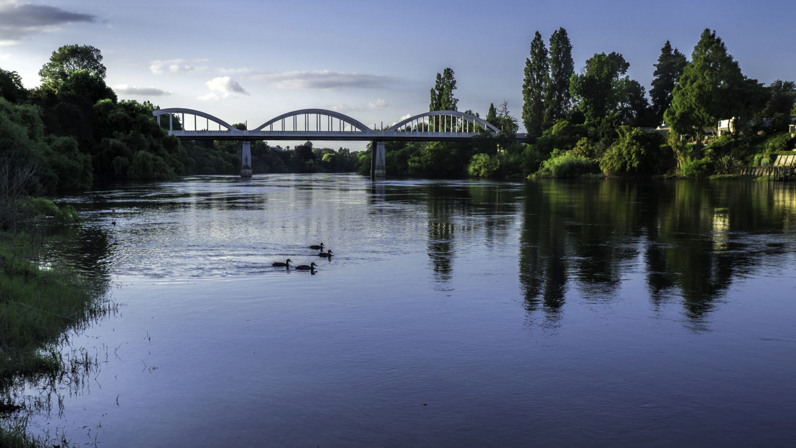 TE AWA THE RIVER:  FLOOR PATTERNING