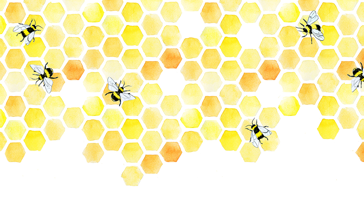 Honeycomb and bees image, advertising free school holiday activities at The Base including Slime Workshops and Scavenger Hunt. Learn about bees for free with us this school holidays