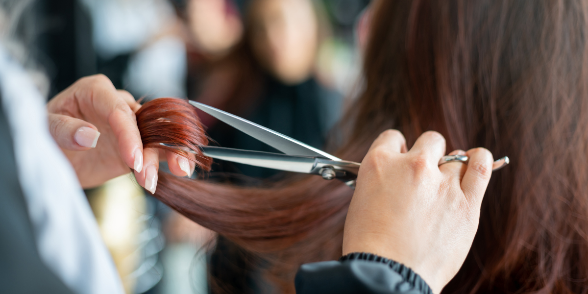 SHARING SHED | SENIOR HAIRDRESSER