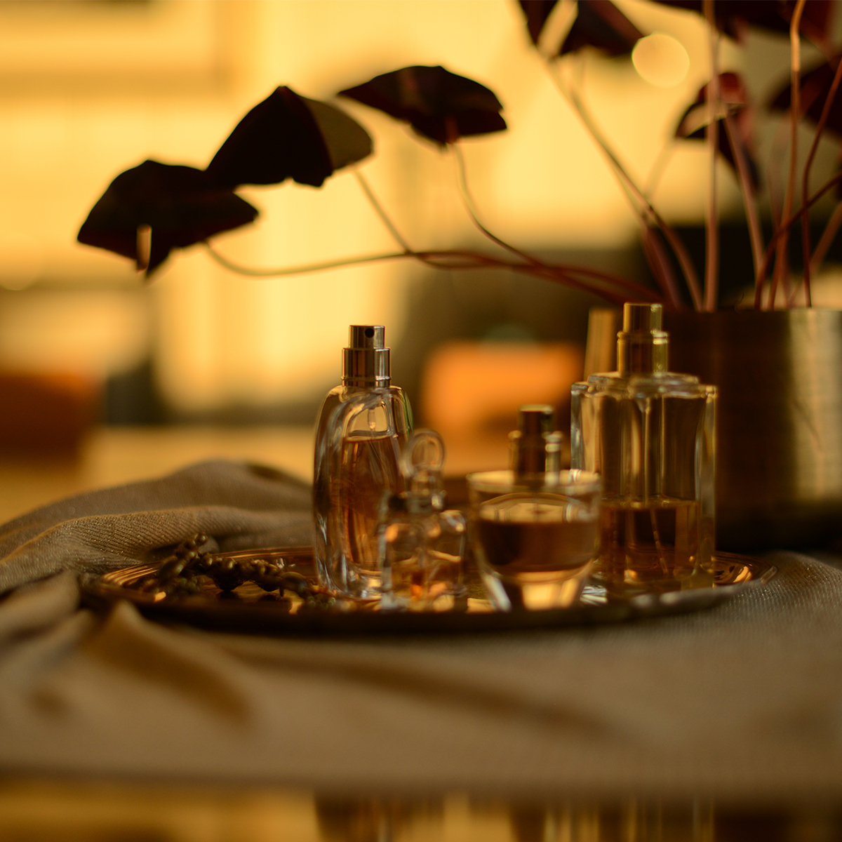 Untitled-5 Bottles of perfume