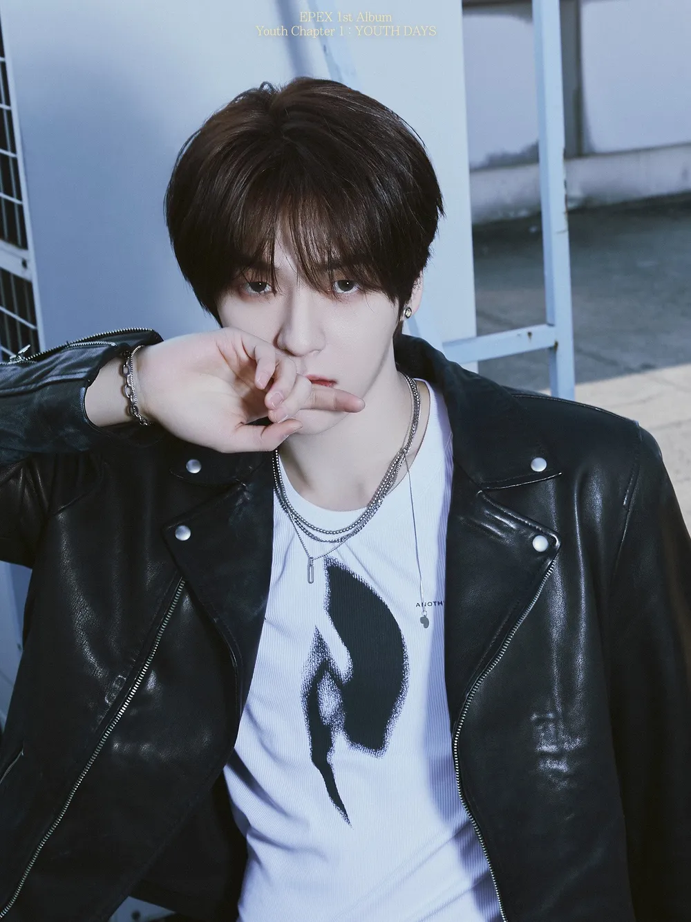 보아, NCT 위시 프로듀서 맡아 한·일 동시 데뷔 이끈다