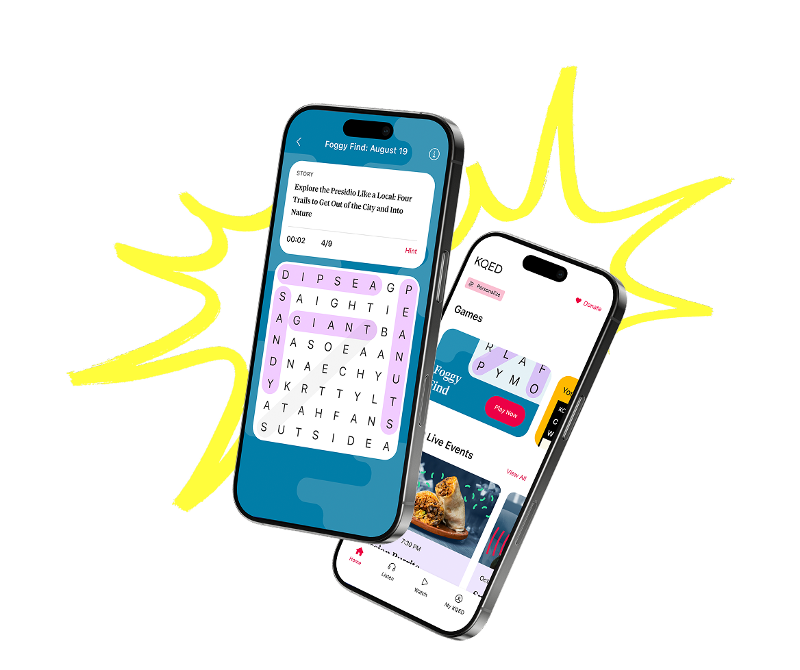 Foggy Find Hero Image