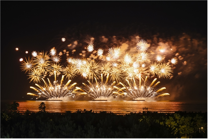 Dadaepo Busan Sea Festival