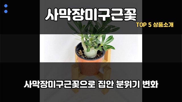 사막장미구근꽃 대표 이미지