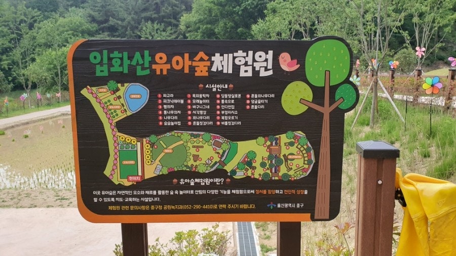 울산 입화산 자연휴양림