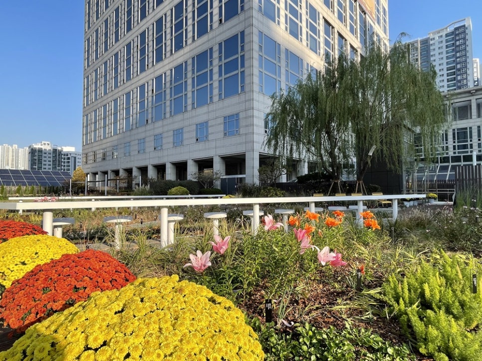 釜山市政府天空花园