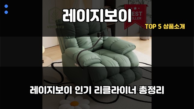 레이지보이 대표 이미지