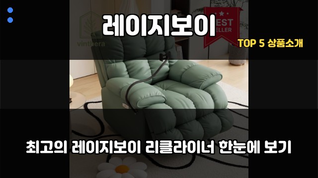 레이지보이 대표 이미지