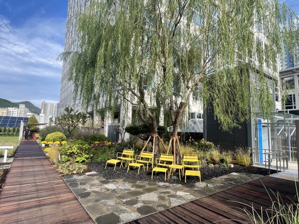 釜山市政府天空花园