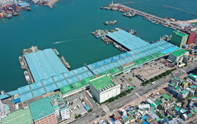 现釜山共同渔市场