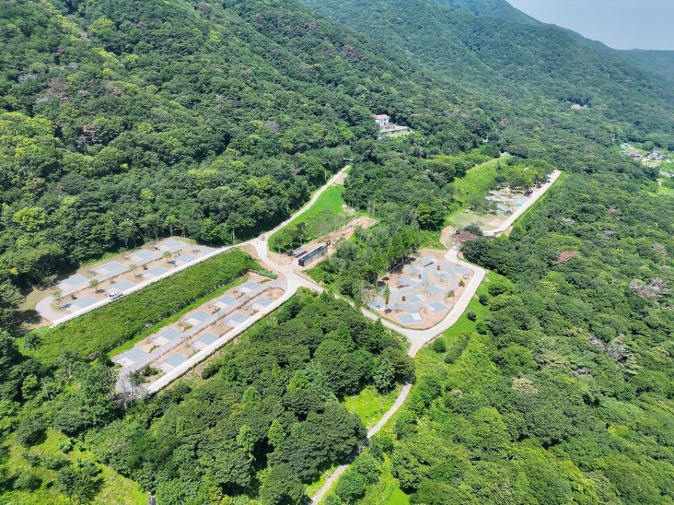 公立金海森の中のキャンプ場