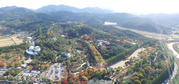 晋州庆南植物园红叶