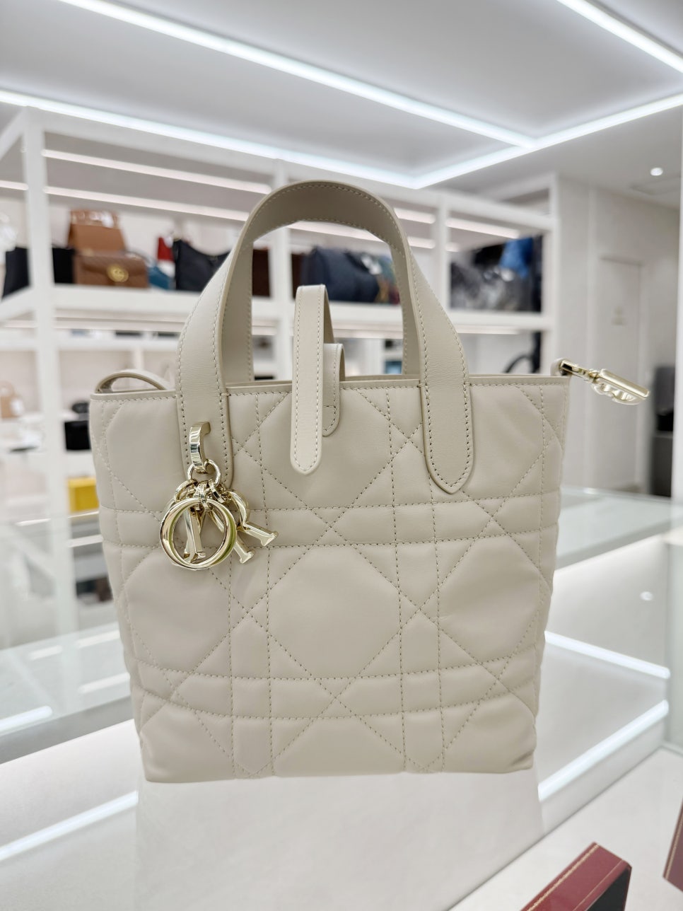 Dior中性竖形小包回收