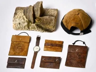 Mushroom Leather Image