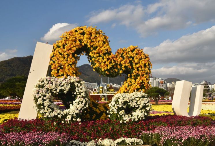 양산국화축제