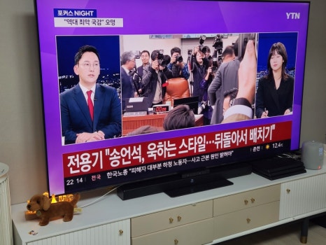 라베스토 TV보호기 설치전