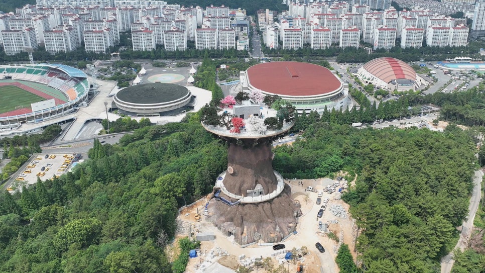 昌原大象公园大树