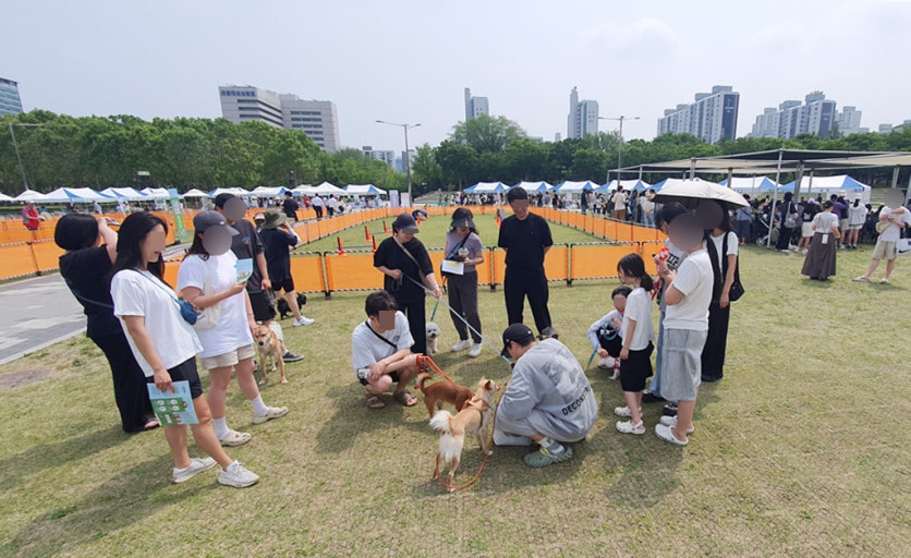 Pet Walking Festival