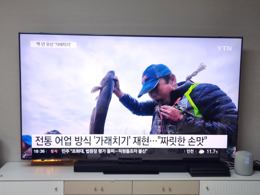 라베스토 TV보호기 설치후