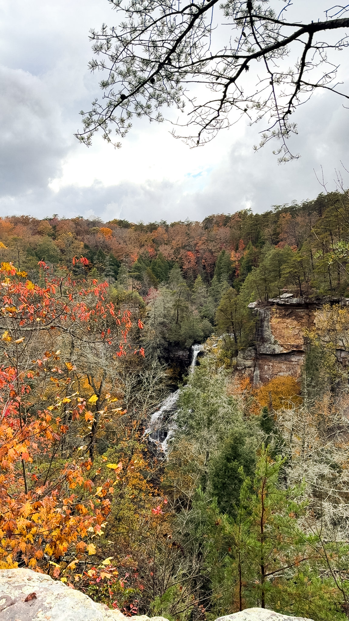 Short Mountain interior