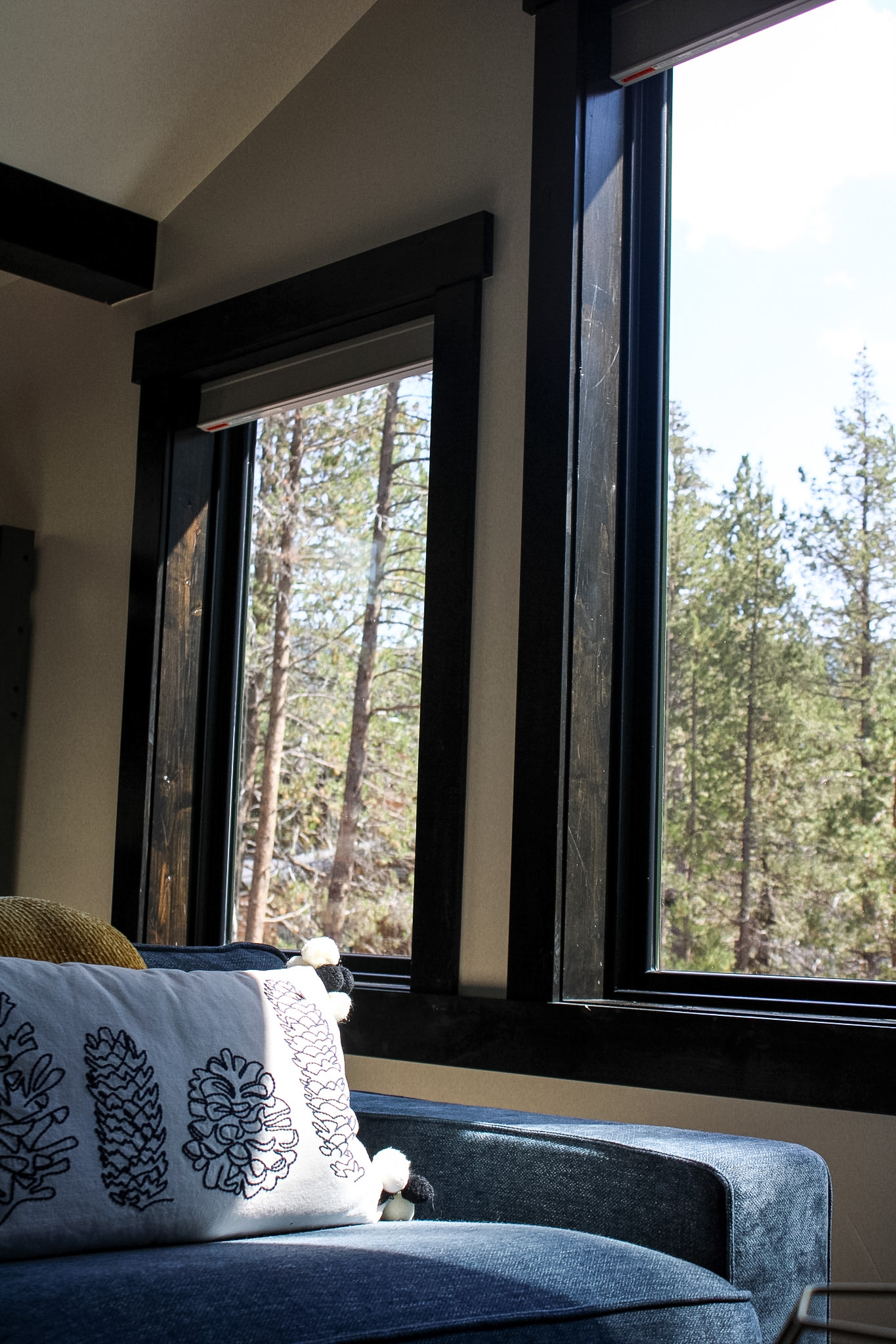 Tahoe property living room