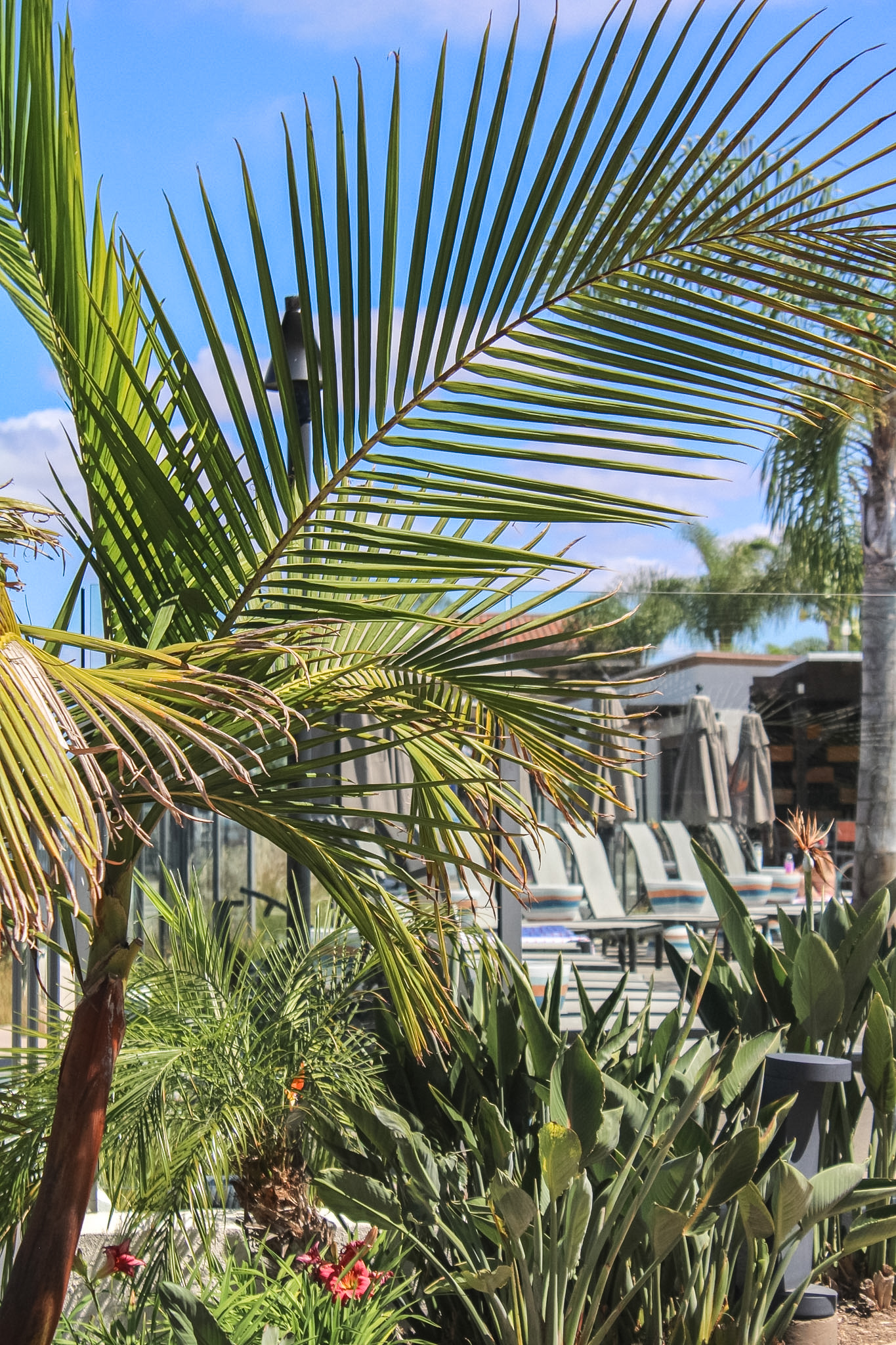 Kona Kai Resort marina