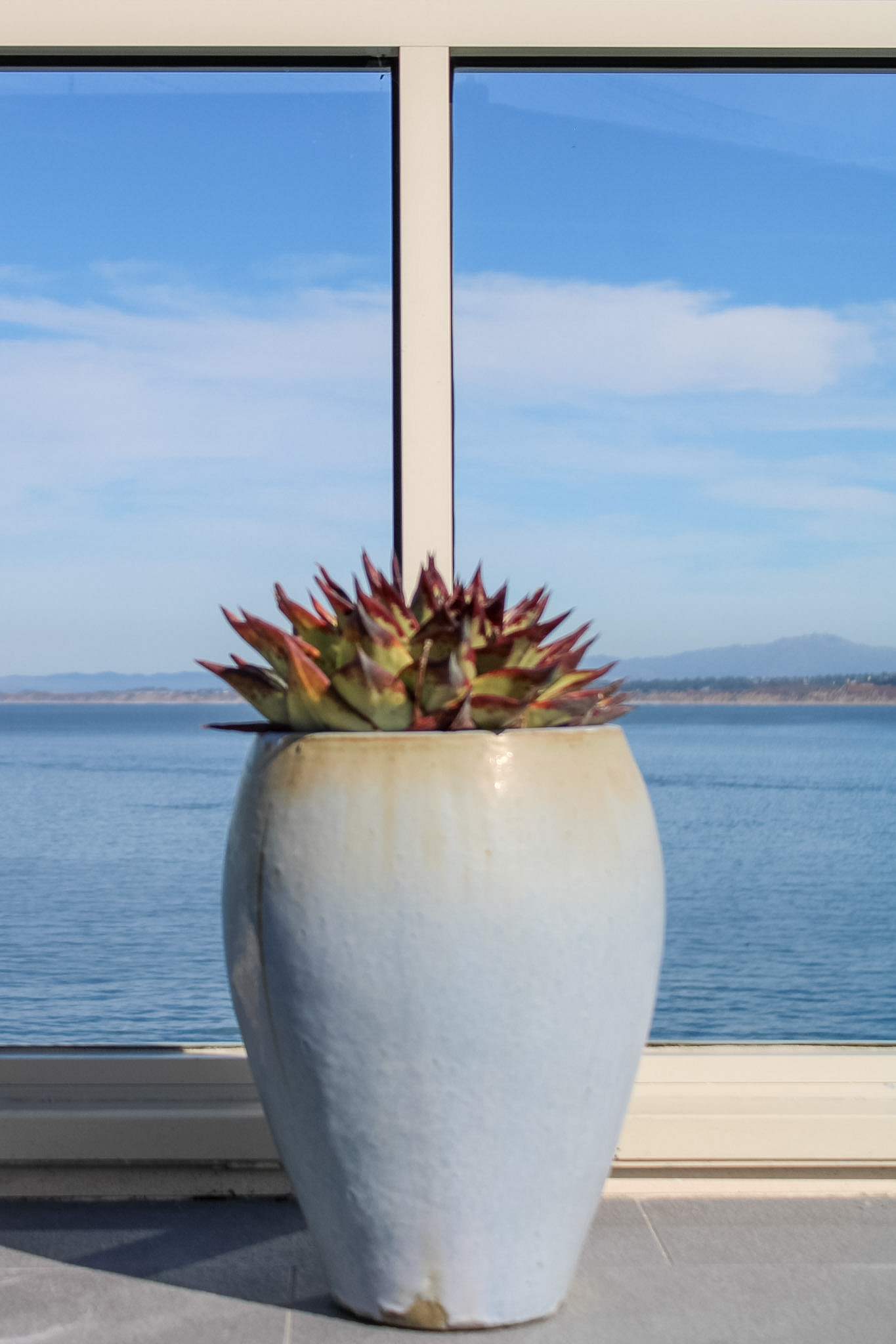 Monterey Plaza coast