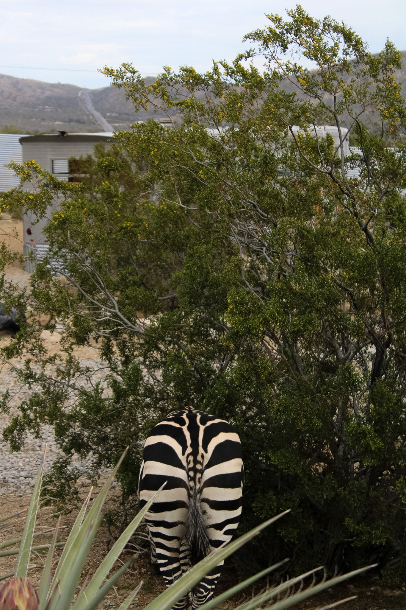 Kaleidoscope Desert scene