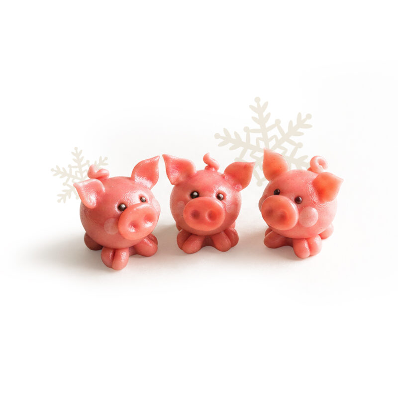 Pigs