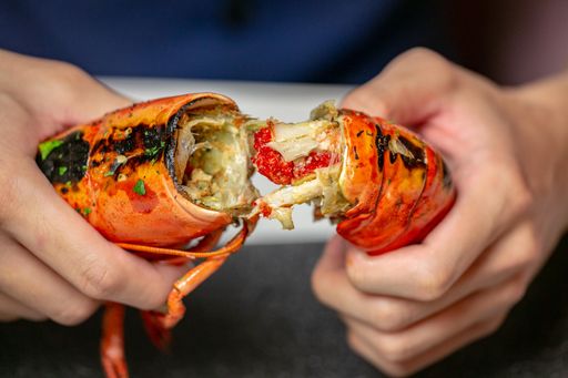 【𝗖𝗢𝗠𝗕𝗢】Aqua Lobster Combo (Lobsters, Scallops) - 4 packs