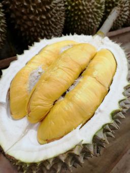 Fresh Musang King Durian 400G