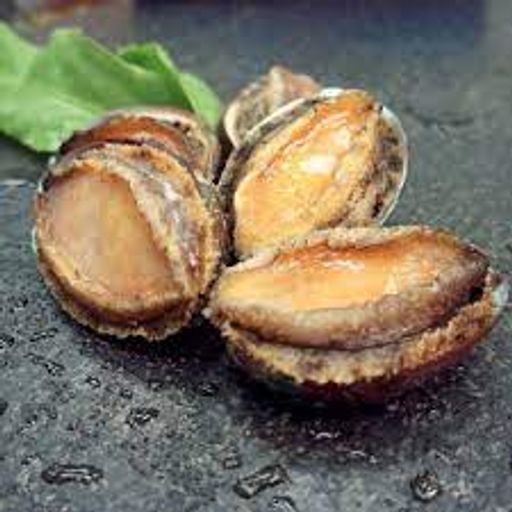 FZ ABALONE WITH SHELL