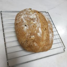 Sourdough bread-Walnut & Cranberry 
