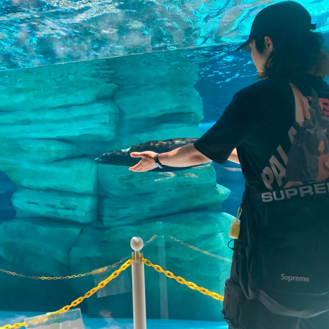 팔라스 P-3-K-9 티셔츠 블랙 - 22SS thumbnail 6