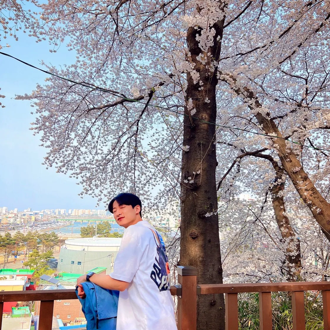 팔라스 P-3-K-9 티셔츠 화이트 - 22SS thumbnail 7