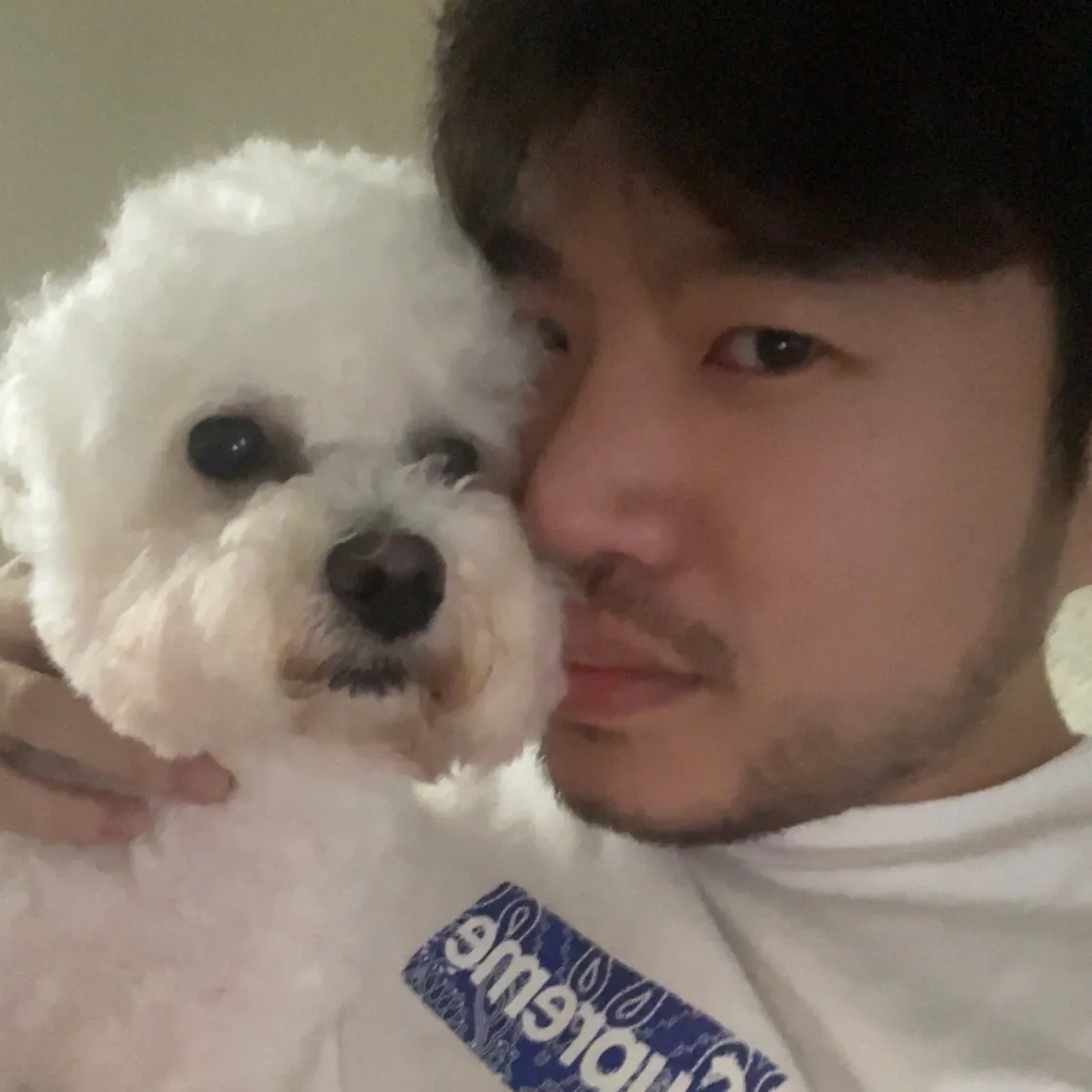 슈프림 반다나 박스로고 티셔츠 화이트 - 19FW thumbnail 4