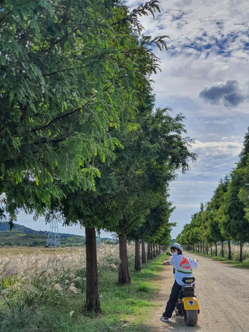 팔라스 슈가 티셔츠 화이트 - 21SS thumbnail 3